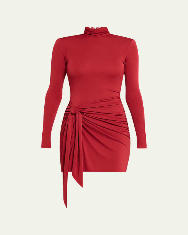 Johnson Long-Sleeve Knit Mini Dress
